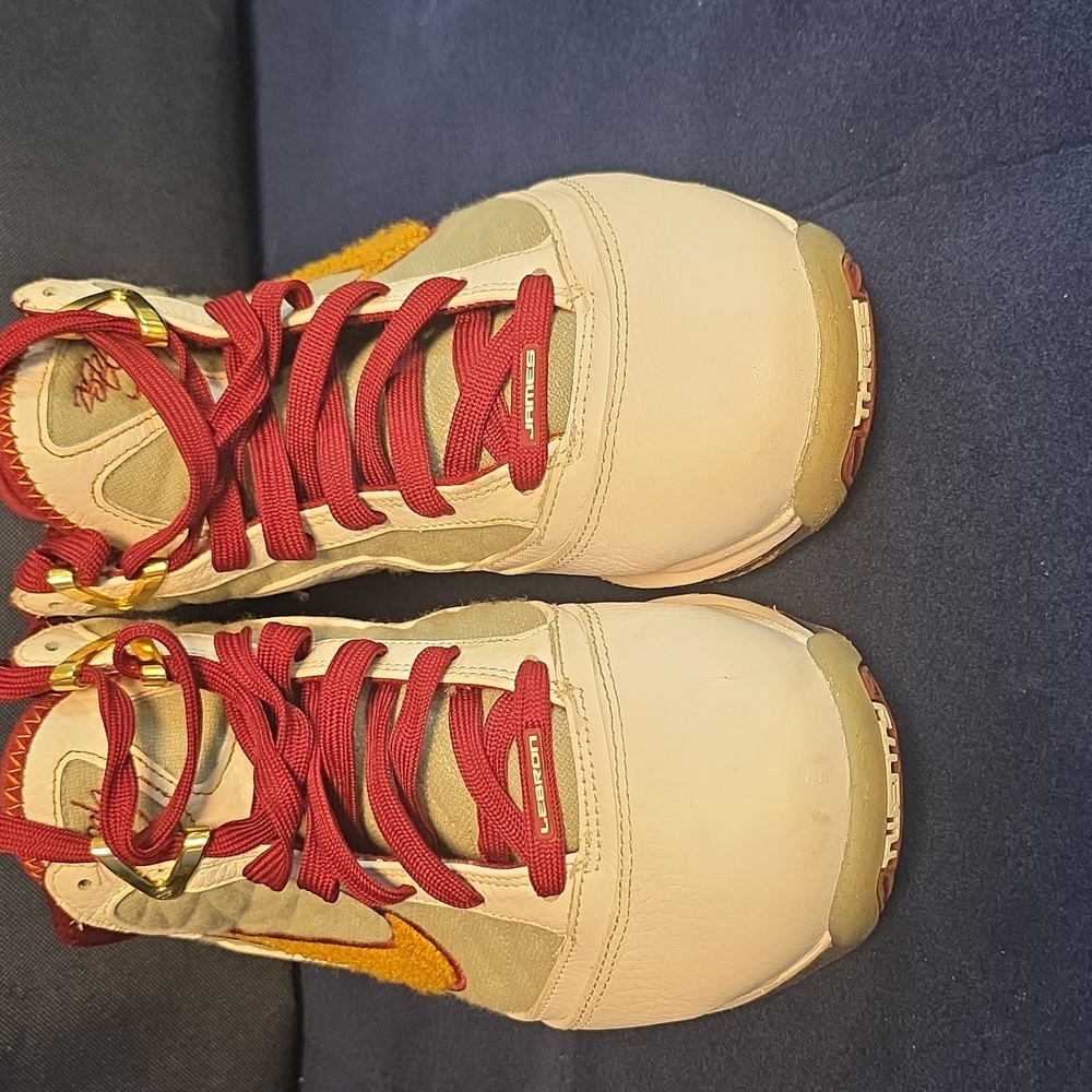 Lebron 7 MVP Historu - Picture 2 of 14